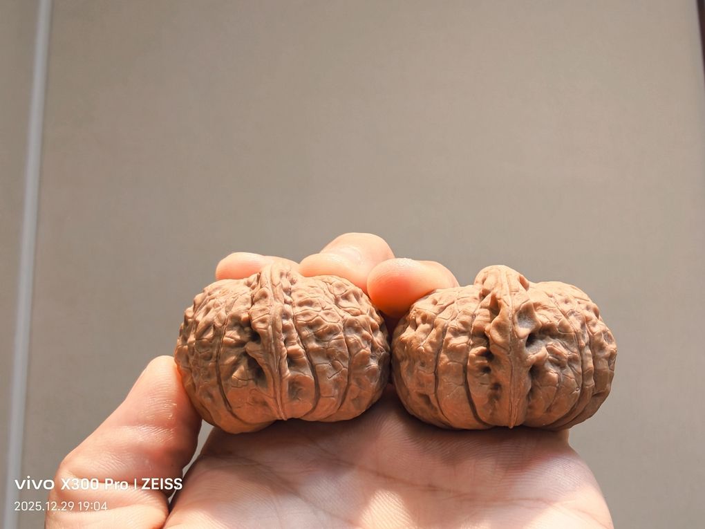 精品南瓜墩266包郵，266元包郵的精品南瓜墩