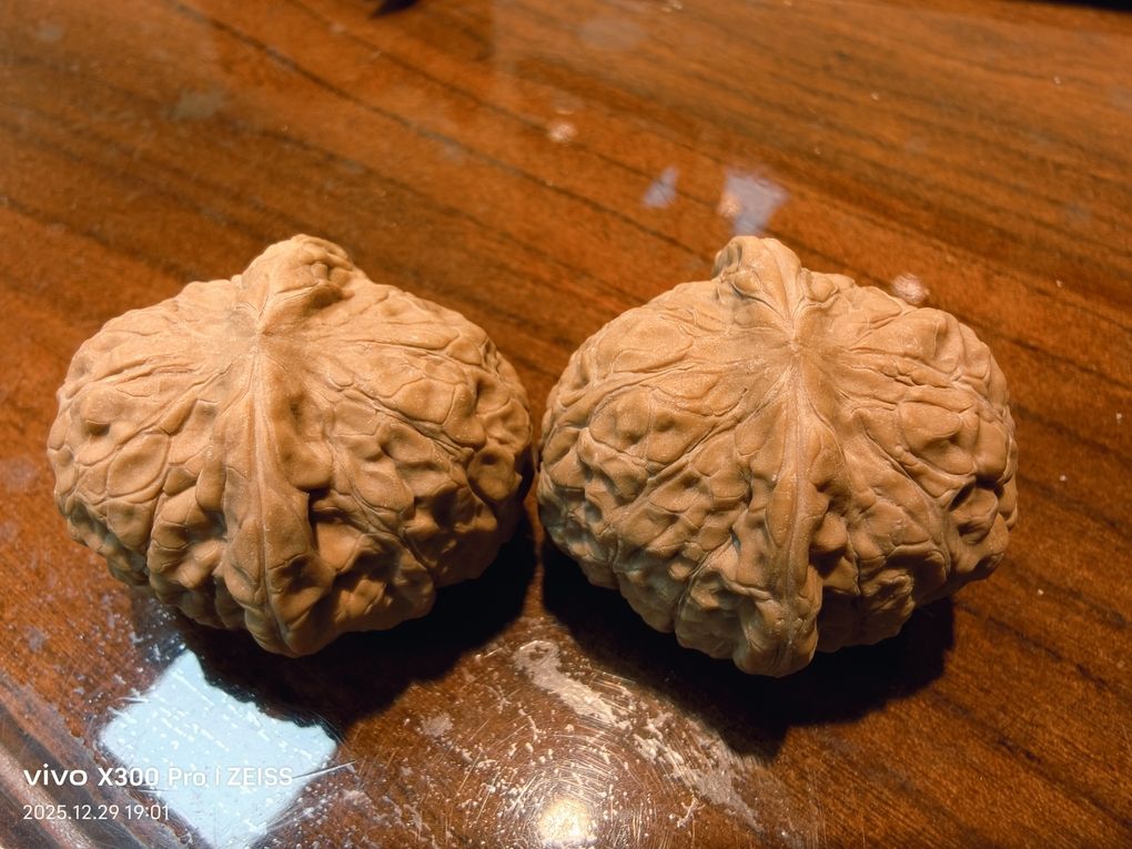 精品南瓜墩266包郵，266元包郵的精品南瓜墩