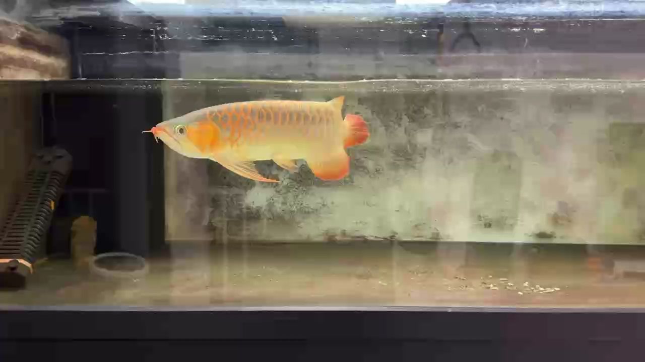 好的品質(zhì)就有好的回報，好品質(zhì)的回報