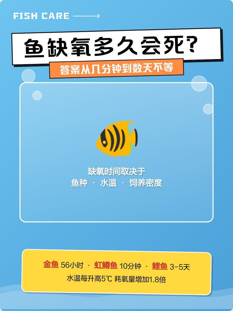清遠龍魚的最佳喂食時間，清遠龍魚的最佳喂食時間是多少？