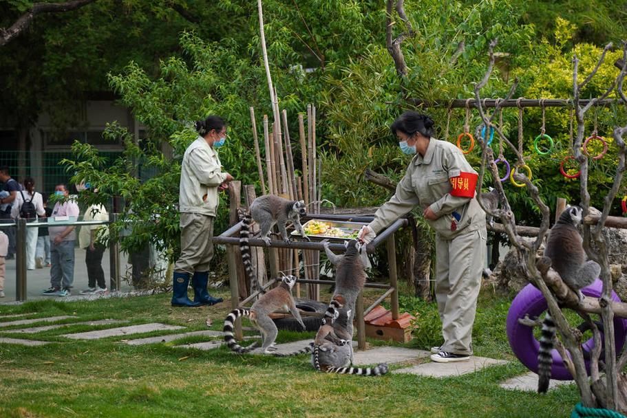 有哪些環(huán)境豐容技術(shù)可以嘗試，arxiv論文助手可輔助獲取豐容技術(shù)的權(quán)威分類體系