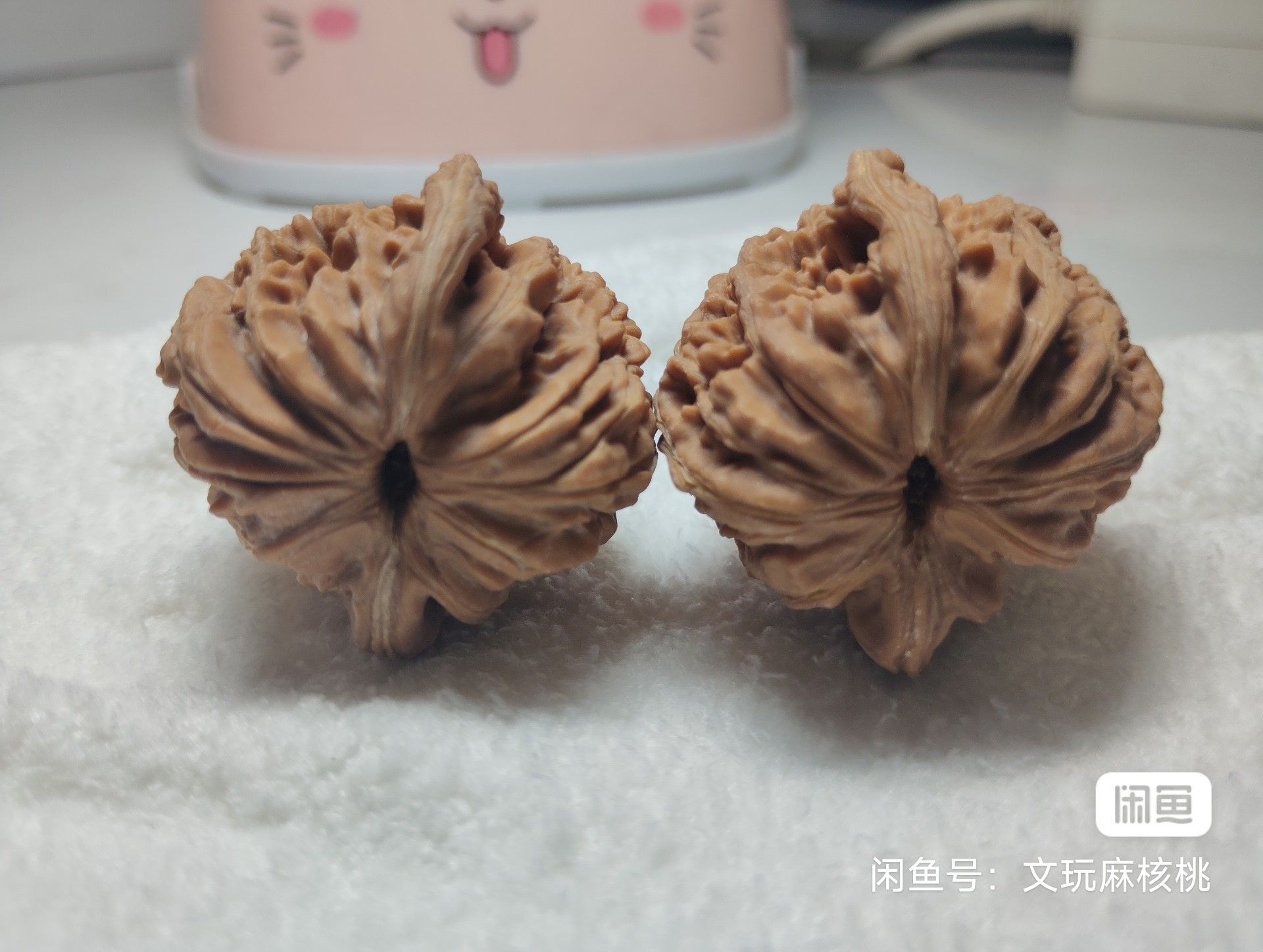 66.66，66.66在文化、科學和商業(yè)領域中的象征意義及其在不同領域的應用