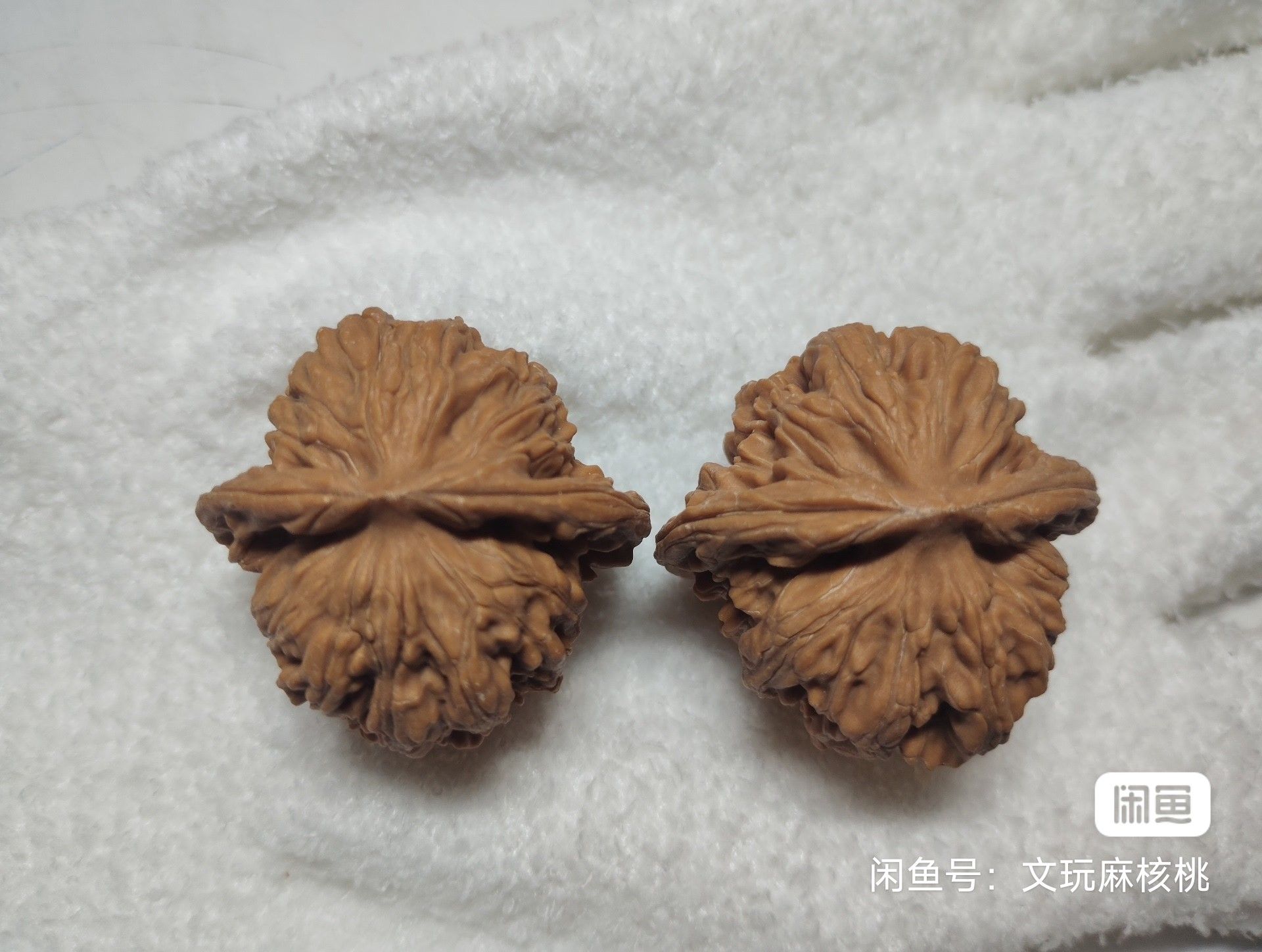 福利，手慢無，四座樓核桃一對，全品無修，骨質(zhì)好