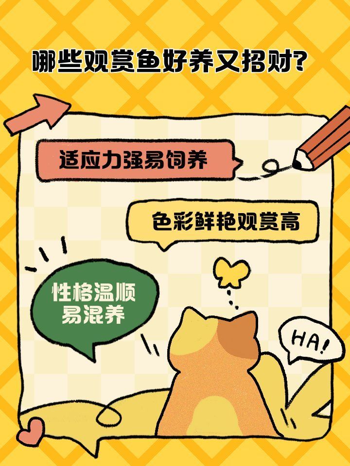 如何挑選最招財(cái)?shù)聂~品種，最具招財(cái)潛力的幾類魚種