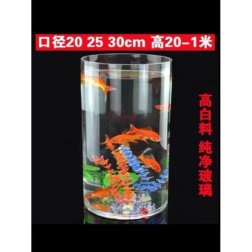 有哪些適合客廳的圓柱形魚缸，客廳擺放一個(gè)圓柱形魚缸不僅能增添室內(nèi)裝飾美感還能為家居環(huán)境帶來生機(jī)與活力