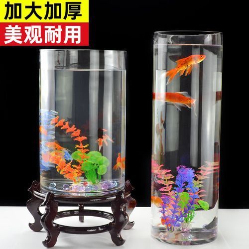 有哪些適合客廳的圓柱形魚缸，客廳擺放一個(gè)圓柱形魚缸不僅能增添室內(nèi)裝飾美感還能為家居環(huán)境帶來生機(jī)與活力
