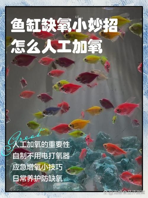 給我一些預防魚缺氧的圖片，冬季魚塘缺氧如何應急處理