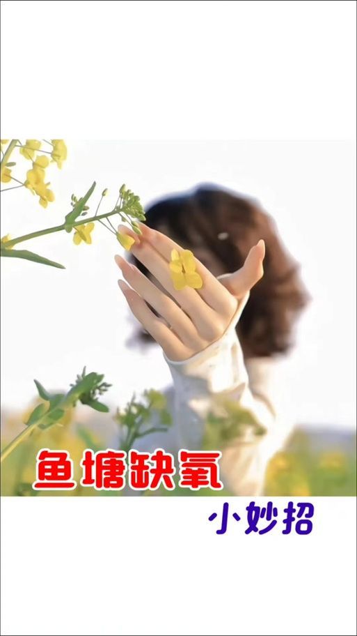 給我一些預防魚缺氧的圖片，冬季魚塘缺氧如何應急處理