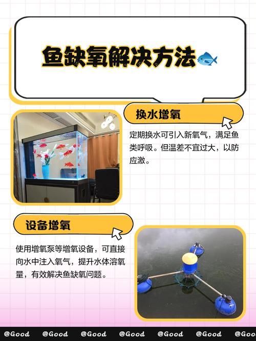 給我一些預防魚缺氧的圖片，冬季魚塘缺氧如何應急處理