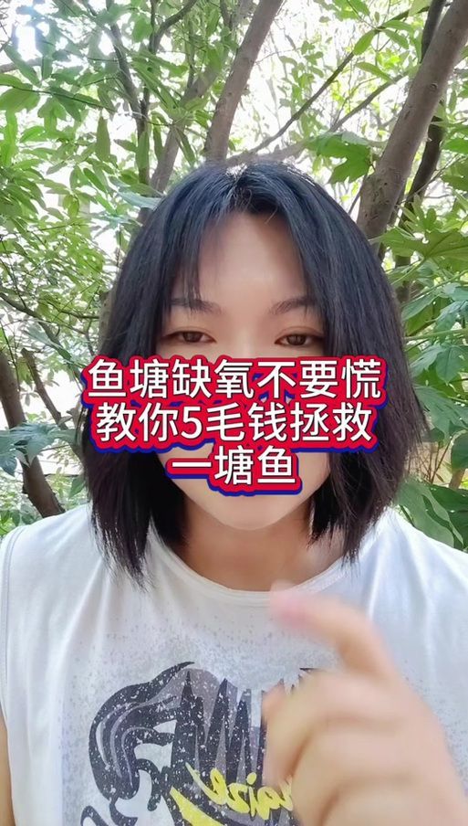 給我一些預防魚缺氧的圖片，冬季魚塘缺氧如何應急處理