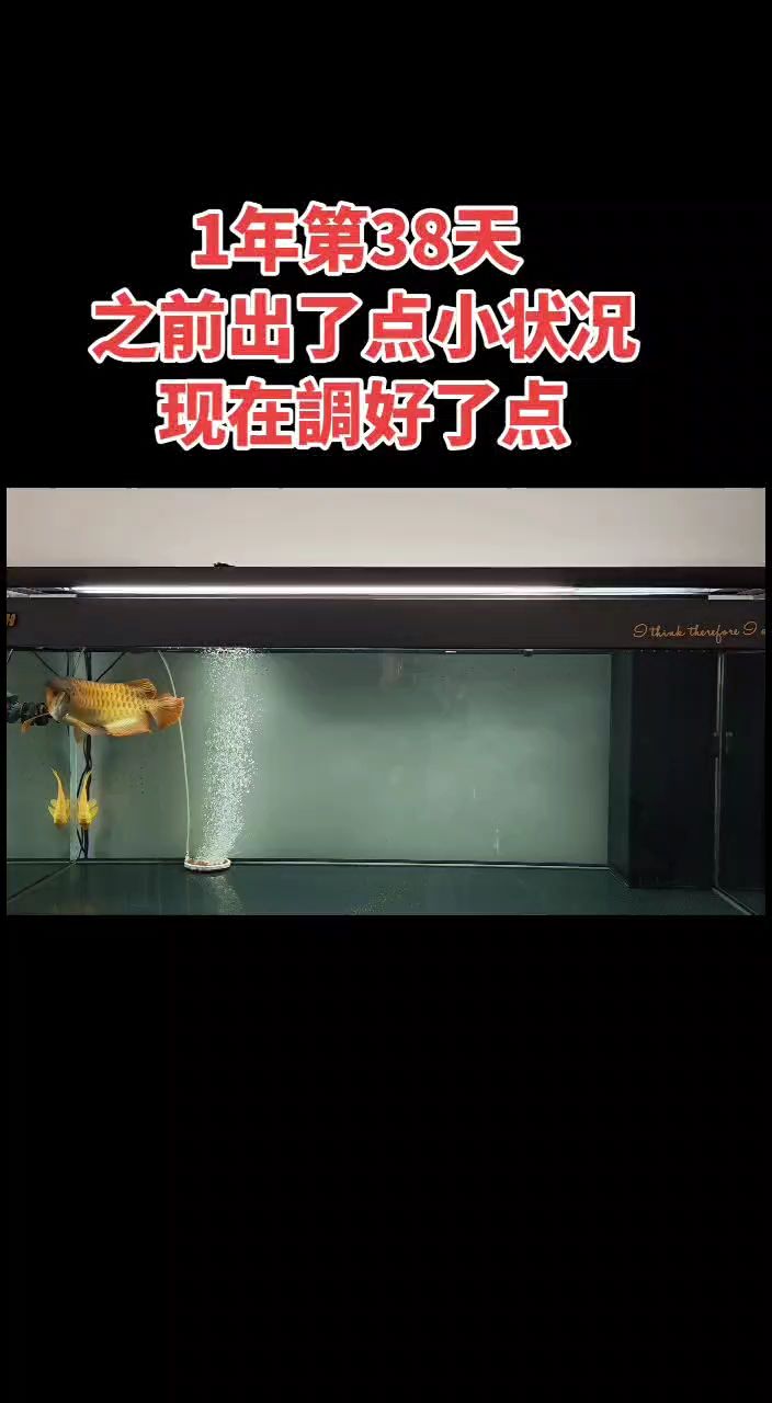 小未來進入尷尬期 更新一下，小未來進入尷尬期
