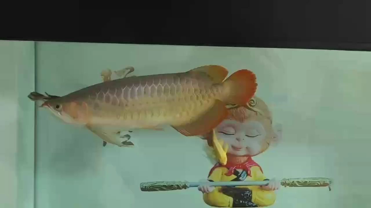 ，探索未來城市：智能交通系統