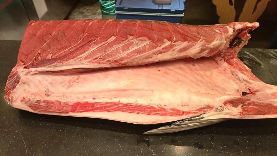 如何選擇新鮮的金槍魚，新鮮的金槍魚應考慮以下幾個關鍵因素：觀察金槍魚的顏色