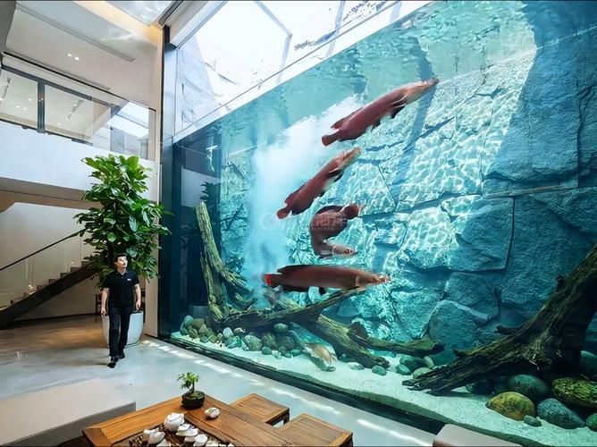 哪些魚缸適合養兇猛觀賞魚？，兇猛觀賞魚的選擇