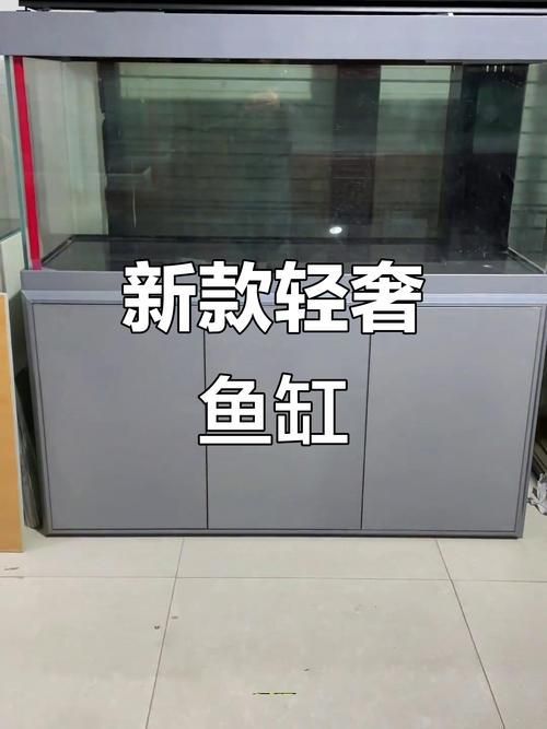 魚之家生態龍魚缸有哪些顏色可選？，魚之家生態龍魚缸提供多種顏色選擇適合龍魚的魚缸顏色