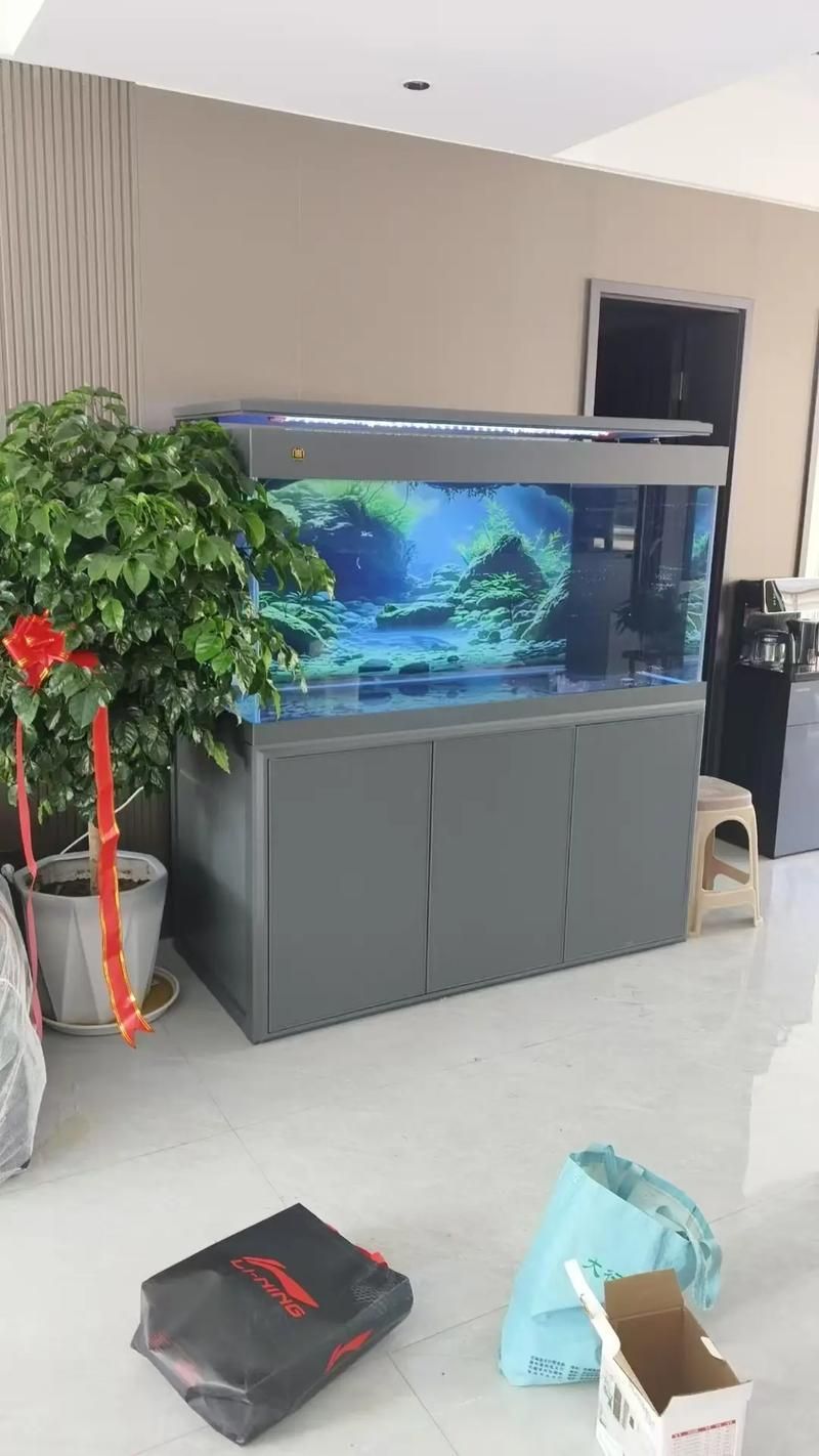 魚之家生態龍魚缸有哪些顏色可選？，魚之家生態龍魚缸提供多種顏色選擇適合龍魚的魚缸顏色