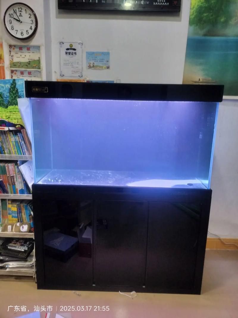 魚之家生態龍魚缸有哪些顏色可選？，魚之家生態龍魚缸提供多種顏色選擇適合龍魚的魚缸顏色