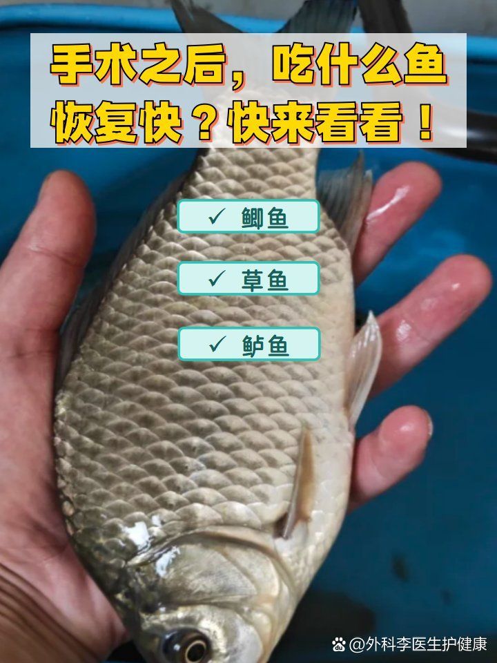 有哪些魚種恢復(fù)較快