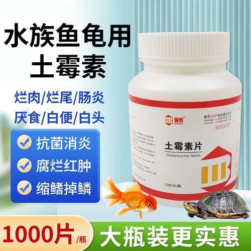 龍魚細菌感染特效藥，百度健康-去問診龍魚細菌感染常用特效藥