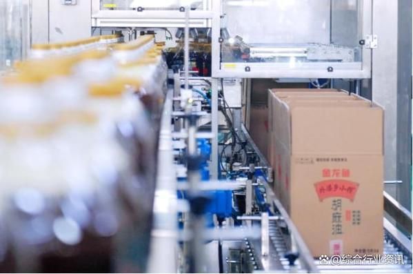金龍魚近期有無重大投資計劃？，金龍魚2026年財務(wù)狀況如何？
