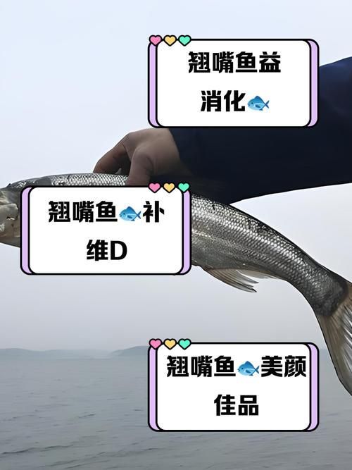 紅尾魚和翹嘴魚哪個更有營養價值，紅尾魚和翹嘴魚哪個好吃