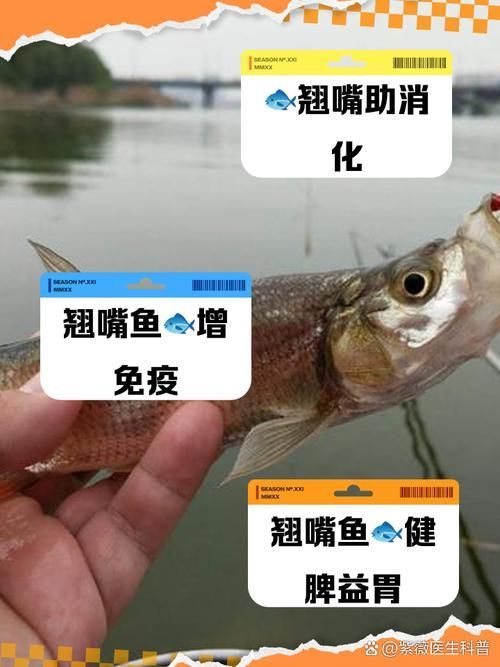 紅尾魚和翹嘴魚哪個更有營養價值，紅尾魚和翹嘴魚哪個好吃