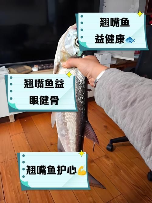 紅尾魚和翹嘴魚哪個更有營養價值，紅尾魚和翹嘴魚哪個好吃