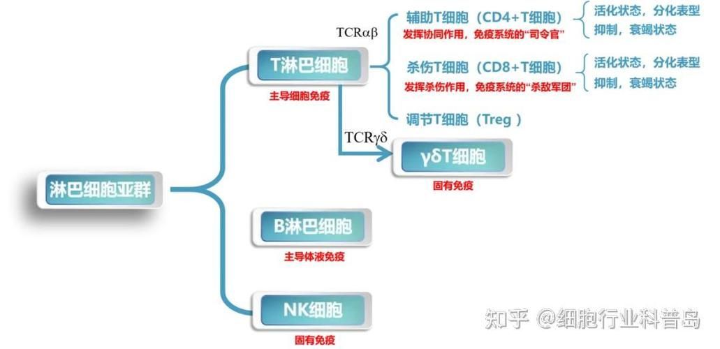 有沒有更快速的治療方法，二氧化碳冷凍治療 有沒有更快速的治療方法，二氧化碳冷凍治療 龍魚百科 第5張