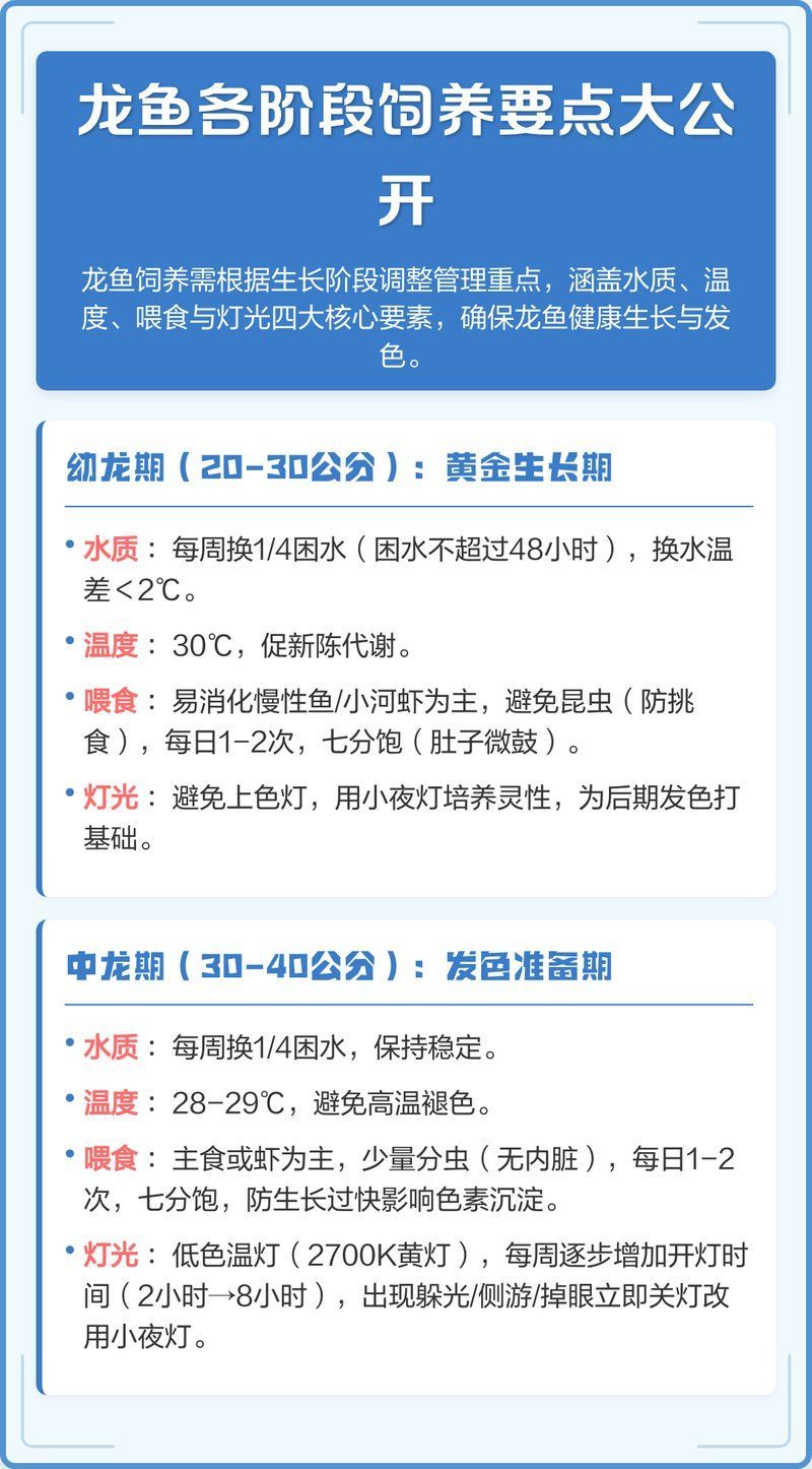 如何預(yù)防龍魚外寄感染，龍魚外寄感染預(yù)防