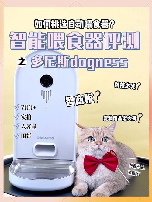 有哪些寵物喂食工具推薦，喂食工具的選擇對(duì)于確保寵物的健康和幸福至關(guān)重要