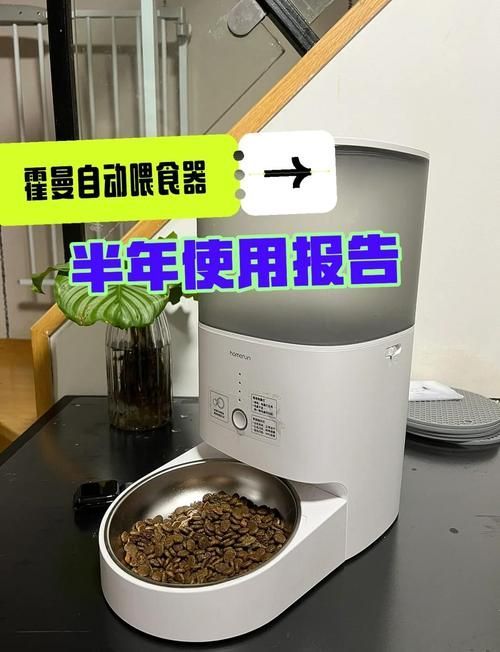 有哪些寵物喂食工具推薦，喂食工具的選擇對(duì)于確保寵物的健康和幸福至關(guān)重要