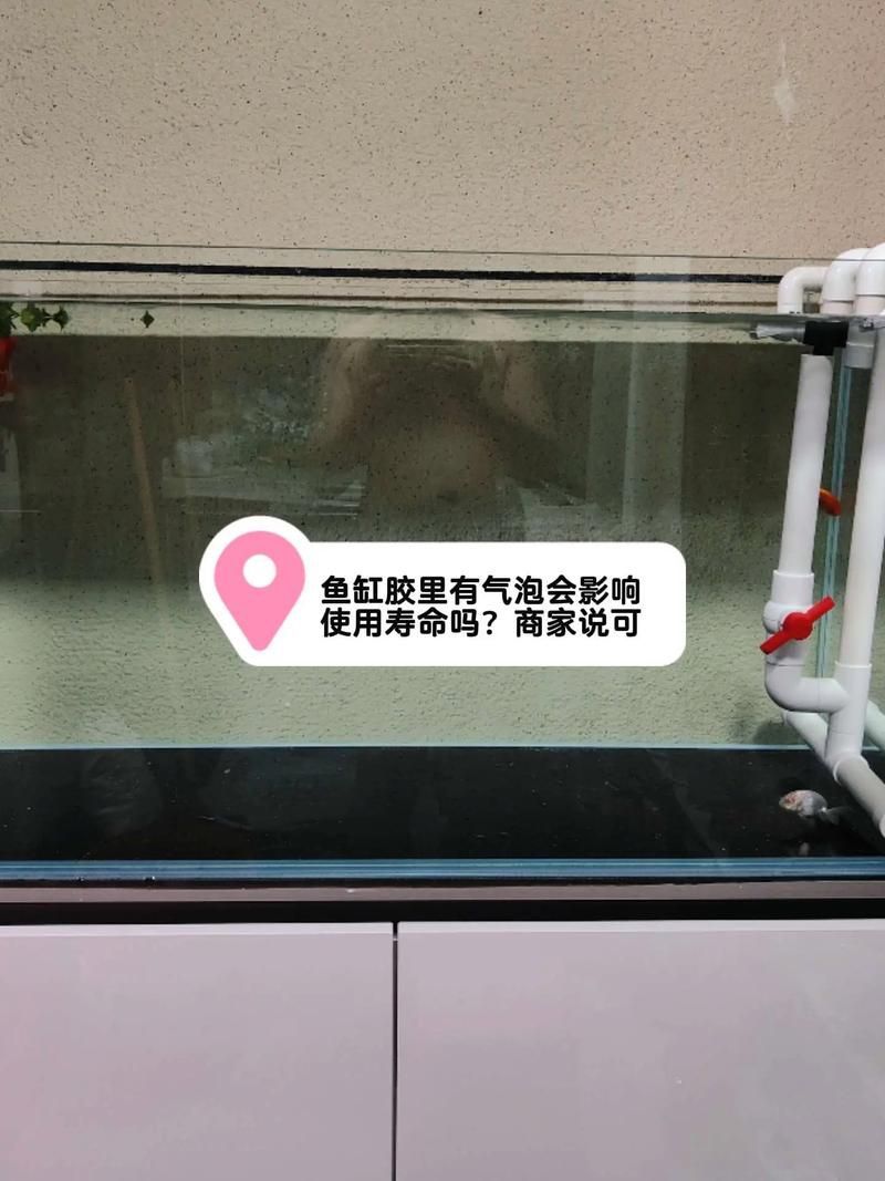 如何判斷龍魚(yú)魚(yú)缸的質(zhì)量？，如何判斷龍魚(yú)魚(yú)缸的質(zhì)量