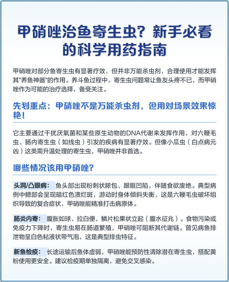 甲硝唑治療魚內寄生蟲需要多久見效，斗魚甲硝唑治療魚內寄生蟲有哪些副作用
