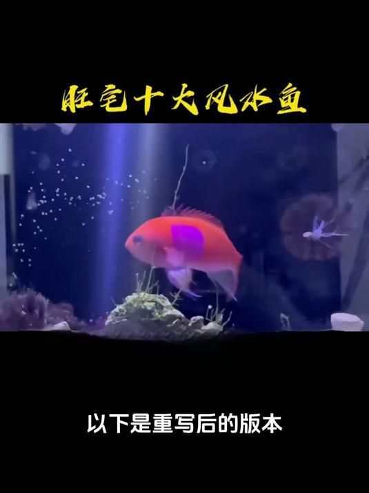 十種旺財又旺宅的魚，風水學養殖魚被視為財富和好運的象征，以下是十種