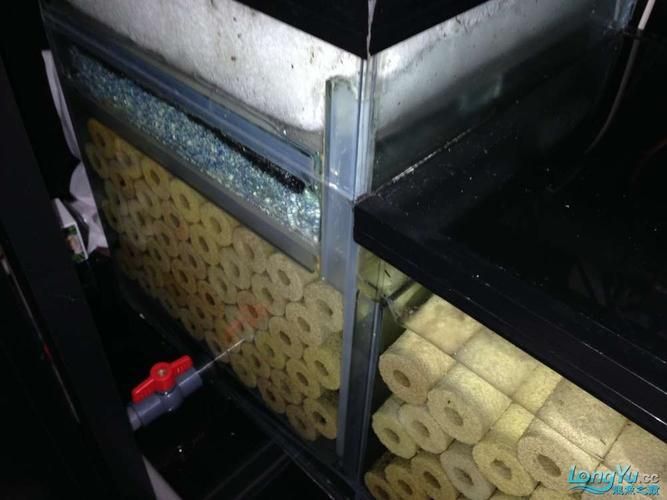 還有哪些龍魚魚缸品牌值得推薦？，備受推崇的龍魚魚缸品牌：海王星海王星海王星海王星