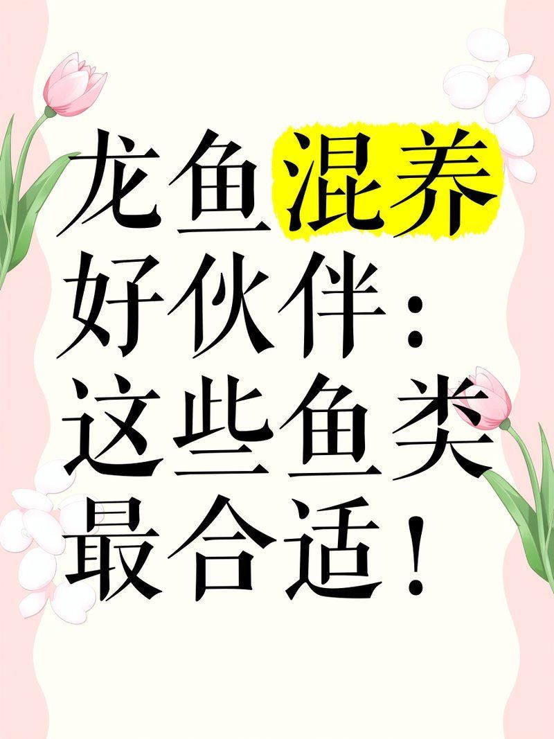 混養龍魚需要哪些注意事項