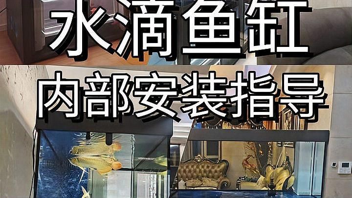 如何判斷一個龍魚缸的質量？，85%龍魚缸的質量要求1000字說明和配圖