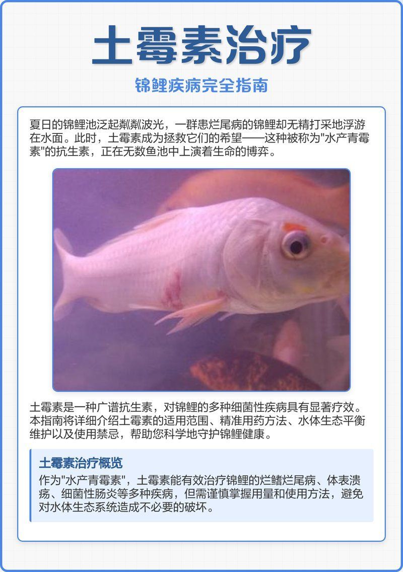 哪些藥物可以有效治療細菌性魚病，3–5天無改善性魚病治療細菌性魚病的藥物
