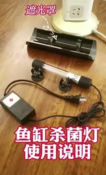 如何安裝魚缸水族燈？，魚缸水族燈安裝指南：魚缸水族燈安裝指南及安裝指南