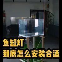 如何安裝魚缸水族燈？，魚缸水族燈安裝指南：魚缸水族燈安裝指南及安裝指南