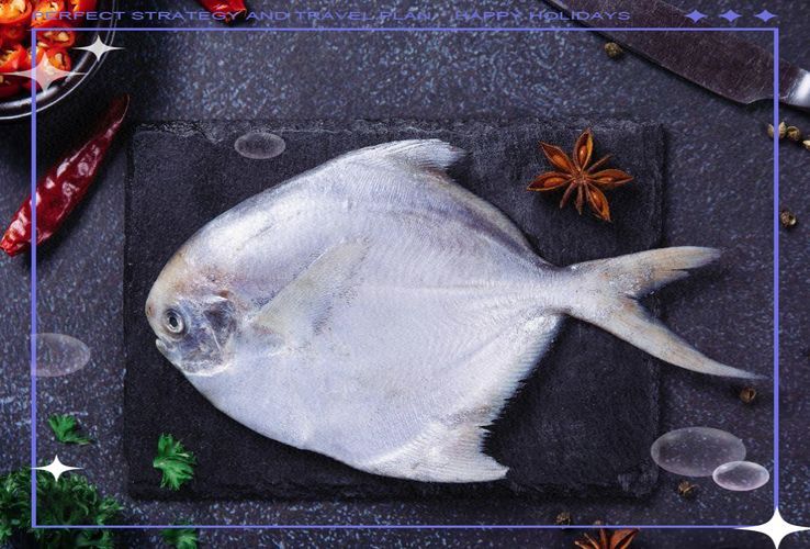 從化龍魚和鯧魚的價格差異大嗎？，從化龍魚與鯧魚價格差異 從化龍魚和鯧魚的價格差異大嗎？，從化龍魚與鯧魚價格差異 龍魚百科 第10張