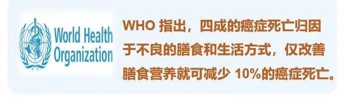 治療期間如何保持營養均衡，腫瘤治療期間如何保持營養均衡