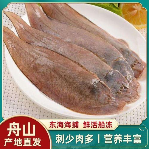 深海龍利魚的市場價格，深海龍利魚的價格