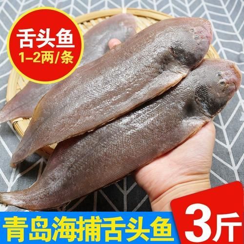 深海龍利魚的市場價格，深海龍利魚的價格