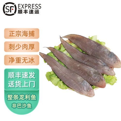 深海龍利魚的市場價格，深海龍利魚的價格