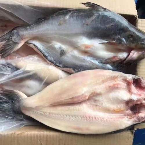 深海龍利魚的市場價格，深海龍利魚的價格