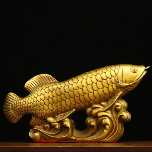 給我一些招財龍魚的圖片，招財龍魚的價格是多少 給我一些招財龍魚的圖片，招財龍魚的價格是多少 龍魚百科 第24張