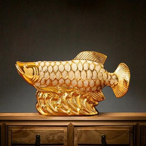 給我一些招財龍魚的圖片，招財龍魚的價格是多少 給我一些招財龍魚的圖片，招財龍魚的價格是多少 龍魚百科 第21張