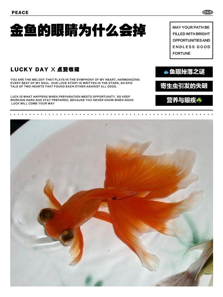 魚眼脫落能自愈嗎，魚眼脫落不是“能好能壞”的小問題，營養(yǎng)師要不要幫你整理一份