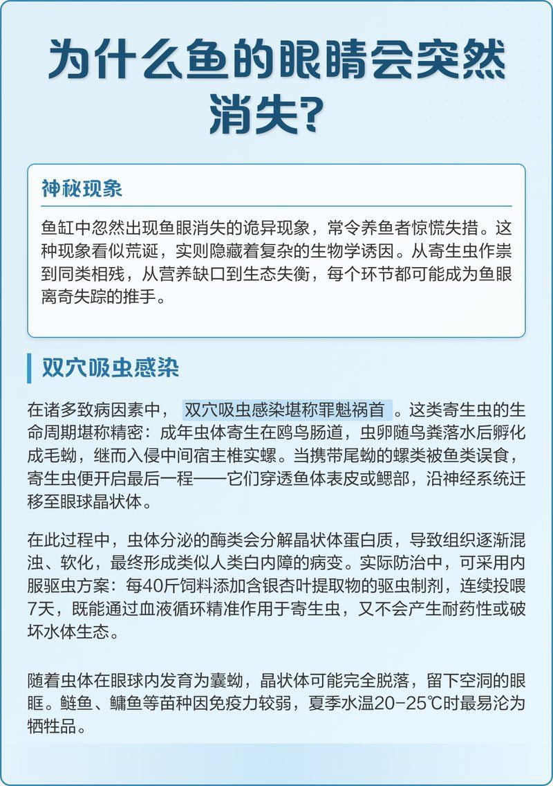 魚眼脫落能自愈嗎，魚眼脫落不是“能好能壞”的小問題，營養(yǎng)師要不要幫你整理一份